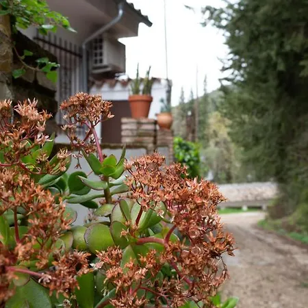 Feel Nature En La Casa De La Desconexion *